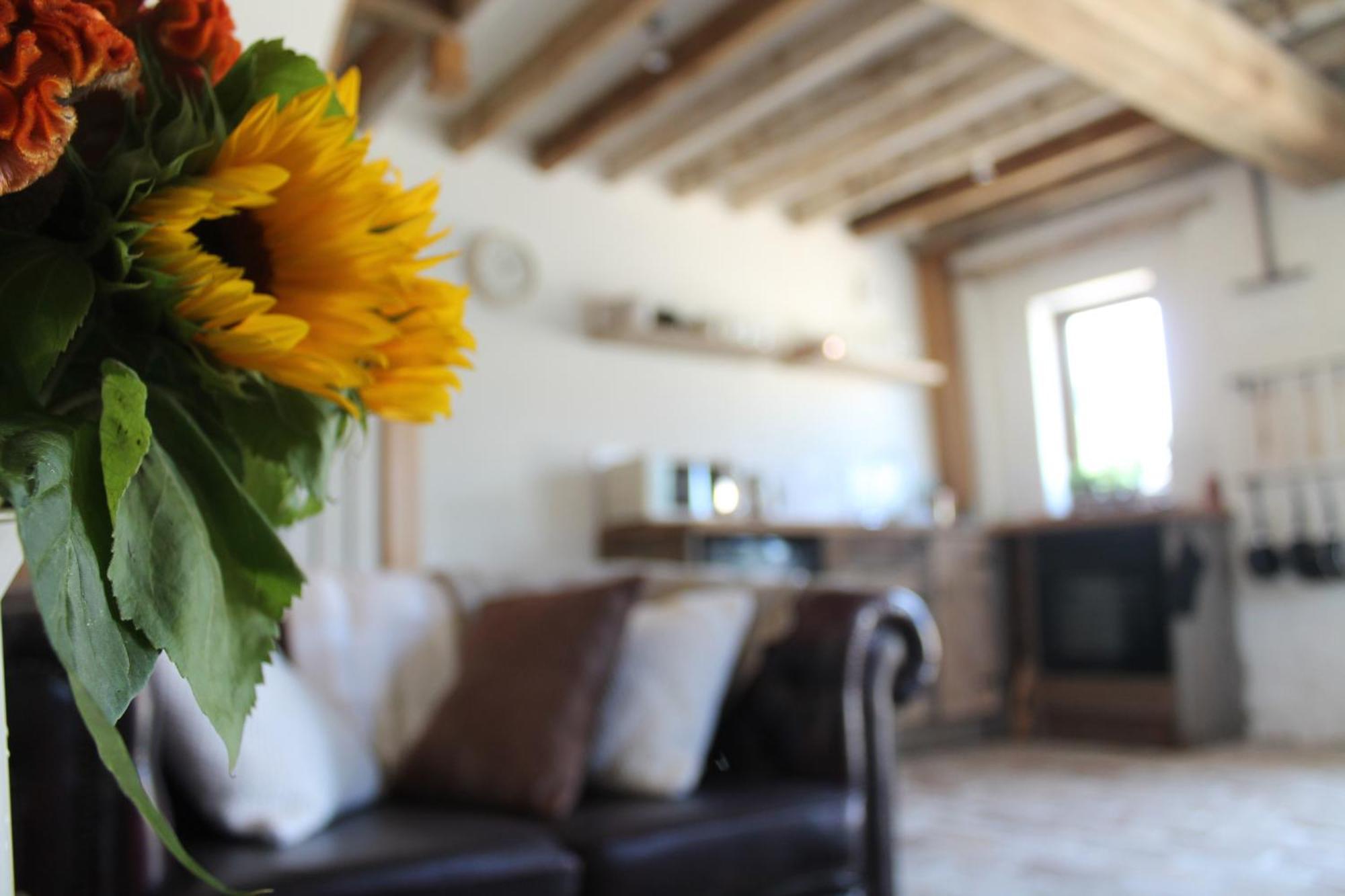 Вилла The Dovecote - Unique Self-Contained 1Bed Renovated Barn Саффрон-Уолден Экстерьер фото